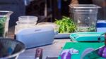 أفضل سماعة محمولة: Bose SoundLink Flex